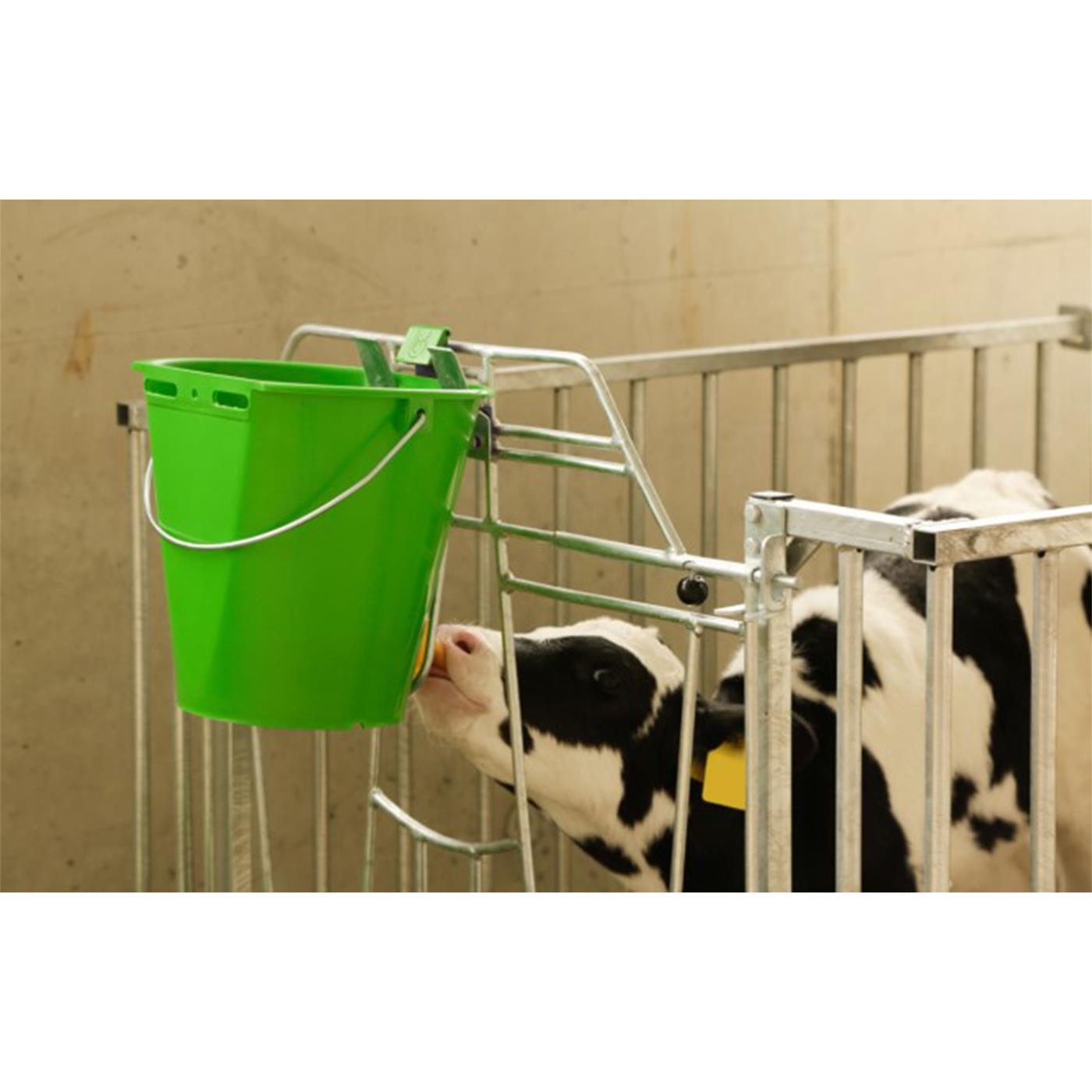 Doppelklicken zum vergrößern Ein Kalb im Stall trinkt aus einem Eimer, der mit der Kerbl Auswurfsicherung für Tränkeeimer „Bucket Guard“ gesichert ist.