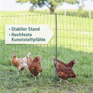 AKO PoultryNet Premium 50m Hühnerzaun, Geflügelnetz, 122cm, 15 verstärkte Pfähle, 2 Spitzen, grün