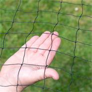 Geflügel-Schutznetz, Teich-Netz, Volieren Netz, Greifvogelschutz-Netz, 5x5m, verstärkter Rand