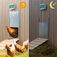 Hühnerklappe Tür-Set - Hühner-Schiebetür für automatische Hühnerklappe, Alu 220 x 330mm