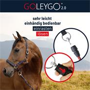 GoLeyGo 2.0 Pferdehalfter, schwarz-fuchsia mit GoLeyGo Adapter-Pin
