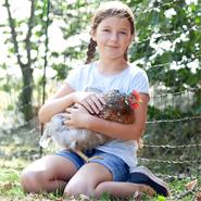 VOSS.farming farmNET 25m Hühnerzaun, Geflügelnetz, 112cm, 9 Pfähle, 2 Spitzen, grün, ohne Strom