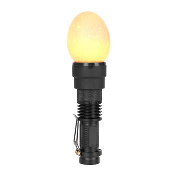 561325-led-schierlampe-eierprueflampe.jpg