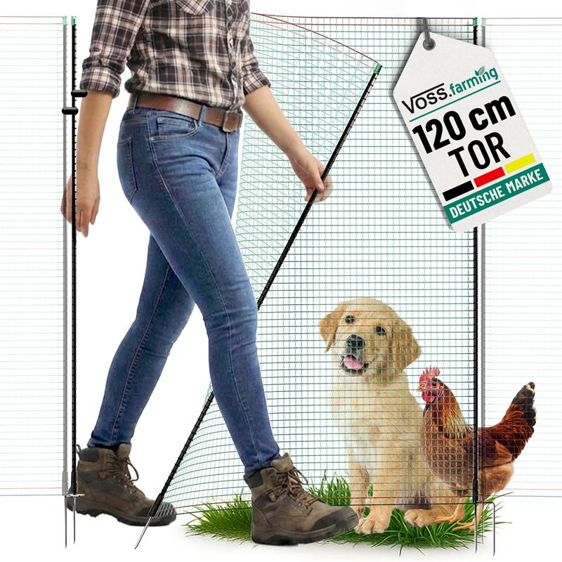 Großansicht der Bildergalerie Ein Hund und ein Huhn befinden sich hinter einer VOSS.farming Tür für Weidezaunnetze (ohne Strom, 120cm), mit offenem Tor, auf einer Wiese.