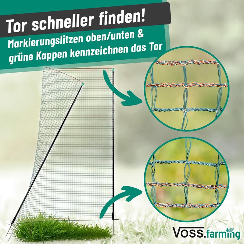 Großansicht der Bildergalerie Kleiner Hund (Jack Russell Terrier) neben einem installierten grünen VOSS.farming Maschenzaun auf grünem Rasen.