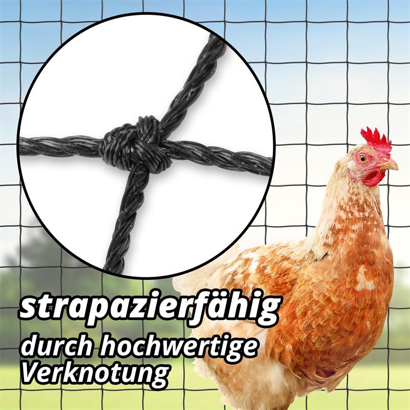 31510-12-14-voss-farming-huehnerschutznetz-gegen-greifvoegel-volierennetz.jpg