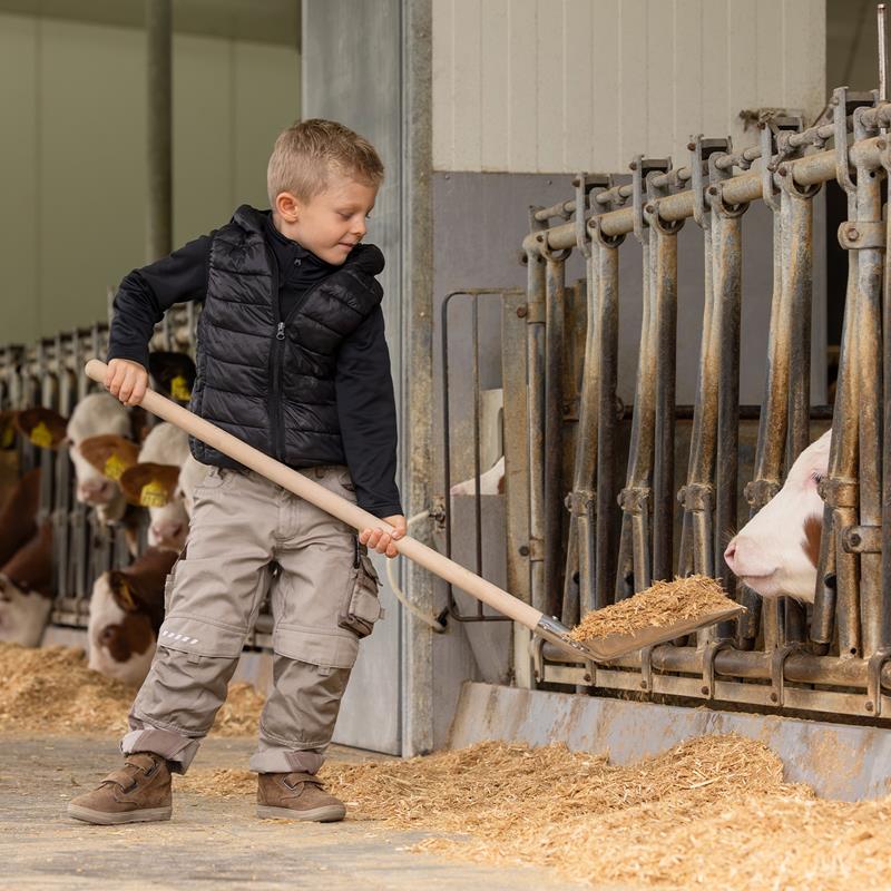 Großansicht der Bildergalerie Ein kleiner Junge benutzt die Aluschaufel "Mini" für Kinder, mit Stiel, 107cm, um den Kühen im Stall Heu zu geben.