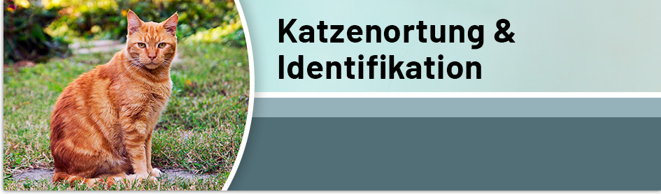 Katzenortung & Identifikation