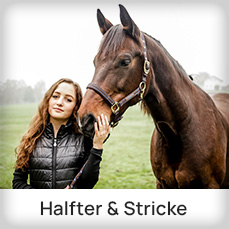 Halfter/Stricke